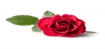 ربیع الاول 